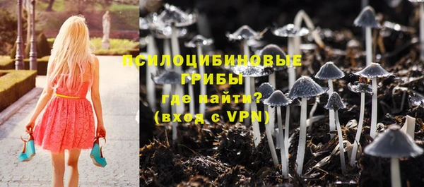 дживик Бронницы