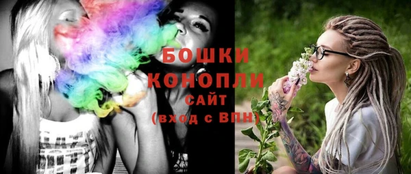 дживик Бронницы