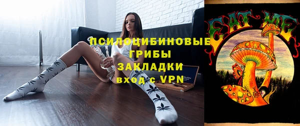 дживик Бронницы