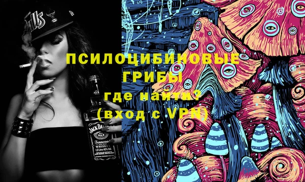 дживик Бронницы