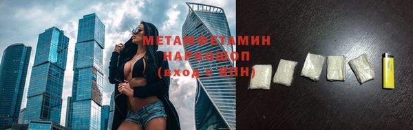 прущие грибы Богородицк
